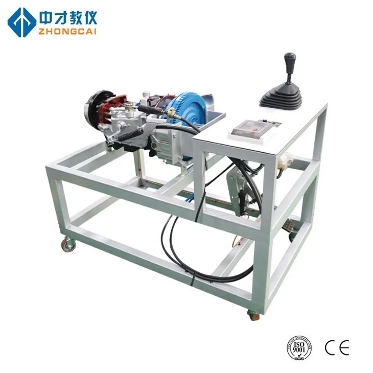 Nền tảng hiển thị giải phẫu thủ công